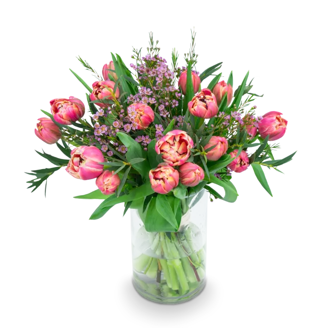 Kytice prémiových tulipánů